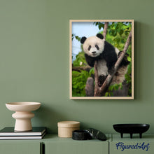 Afbeelding in Gallery-weergave laden, Schilderen op Nummer - Panda in boom