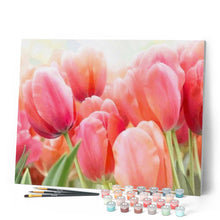 Afbeelding in Gallery-weergave laden, Schilderen op Nummer - Tulp