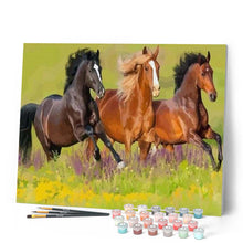 Afbeelding in Gallery-weergave laden, Schilderen op Nummer - Drie paarden galopperen
