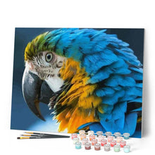 Afbeelding in Gallery-weergave laden, Schilderen op Nummer - Blauwe en gele ara