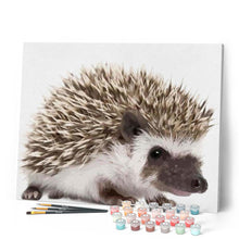 Afbeelding in Gallery-weergave laden, Schilderen op Nummer - Egel