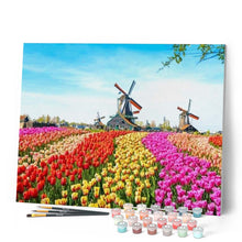 Afbeelding in Gallery-weergave laden, Schilderen op Nummer - Hollandse molenbloemen