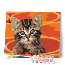 Afbeelding in Gallery-weergave laden, Schilderen op Nummer - Kleine kat schilderen