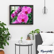 Afbeelding in Gallery-weergave laden, Schilderen op Nummer - Phalaenopsis