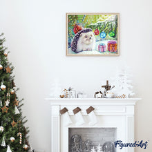 Afbeelding in Gallery-weergave laden, Schilderen op Nummer - Kerst Egel