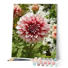 Afbeelding in Gallery-weergave laden, Schilderen op Nummer - Dahlia Bloem