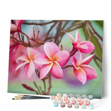 Afbeelding in Gallery-weergave laden, Schilderen op Nummer - Plumeria Bloem