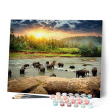 Afbeelding in Gallery-weergave laden, Schilderen op Nummer - Olifanten in de rivier