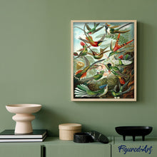Afbeelding in Gallery-weergave laden, Schilderen op Nummer - Alle vogels