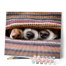 Afbeelding in Gallery-weergave laden, Schilderen op Nummer - Mijn honden