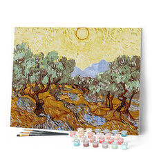 Afbeelding in Gallery-weergave laden, Schilderen op Nummer - Van Gogh St Remy