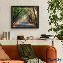 Afbeelding in Gallery-weergave laden, Schilderen op Nummer - Bosweg