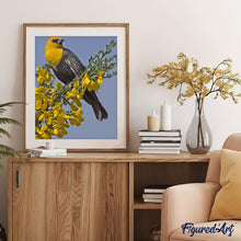 Afbeelding in Gallery-weergave laden, Schilderen op Nummer - Gele vogel