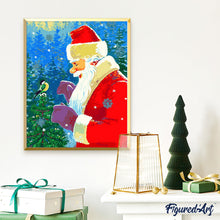 Afbeelding in Gallery-weergave laden, Schilderen op Nummer - Sinterklaas en zijn vogel