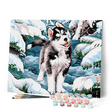 Afbeelding in Gallery-weergave laden, Schilderen op Nummer - Siberische husky