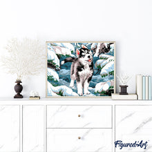 Afbeelding in Gallery-weergave laden, Schilderen op Nummer - Siberische husky