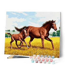 Afbeelding in Gallery-weergave laden, Schilderen op Nummer - Paard en veulen in het veld