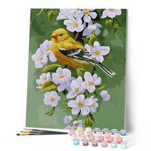 Afbeelding in Gallery-weergave laden, Schilderen op Nummer - Vogel op een bloeiende tak