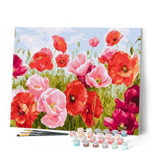 Afbeelding in Gallery-weergave laden, Schilderen op Nummer - Gewone papaver