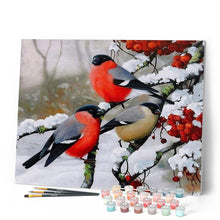 Afbeelding in Gallery-weergave laden, Schilderen op Nummer - Roodborstje in de winter