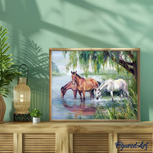 Afbeelding in Gallery-weergave laden, Schilderen op Nummer - Drie paarden in de buurt van het meer