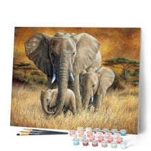 Afbeelding in Gallery-weergave laden, Schilderen op Nummer - Familie van olifanten