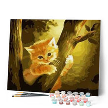 Afbeelding in Gallery-weergave laden, Schilderen op Nummer - Kitten bovenop de boom