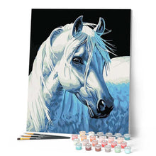 Afbeelding in Gallery-weergave laden, Schilderen op Nummer - Hoofd van het witte paard
