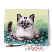 Afbeelding in Gallery-weergave laden, Schilderen op Nummer - Kitten en bloemen