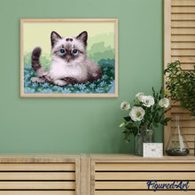 Afbeelding in Gallery-weergave laden, Schilderen op Nummer - Kitten en bloemen