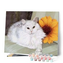 Afbeelding in Gallery-weergave laden, Schilderen op Nummer - Witte kat en zonnebloem