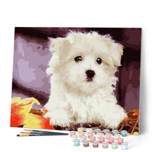 Afbeelding in Gallery-weergave laden, Schilderen op Nummer - Kleine witte hond