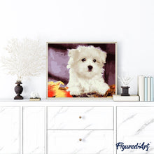 Afbeelding in Gallery-weergave laden, Schilderen op Nummer - Kleine witte hond
