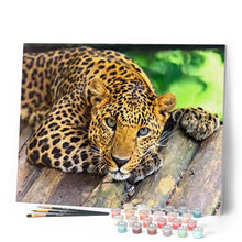 Afbeelding in Gallery-weergave laden, Schilderen op Nummer - Mooie Cheetah