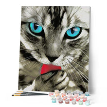 Afbeelding in Gallery-weergave laden, Schilderen op Nummer - Het kattenoog