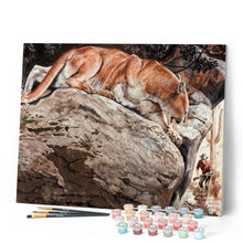 Afbeelding in Gallery-weergave laden, Schilderen op Nummer - Lynx