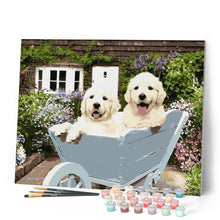 Afbeelding in Gallery-weergave laden, Schilderen op Nummer - Twee puppy's in een kruiwagen