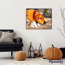 Afbeelding in Gallery-weergave laden, Schilderen op Nummer - Katten en Hond
