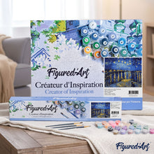 Afbeelding in Gallery-weergave laden, Schilderen op Nummer - Van Gogh Sterrennacht boven de Rhône