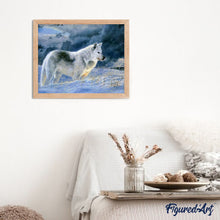 Afbeelding in Gallery-weergave laden, Schilderen op Nummer - Eenzame wolf in de sneeuw