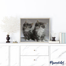 Afbeelding in Gallery-weergave laden, Schilderen op Nummer - Mooie katten