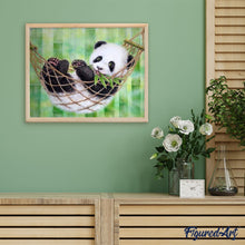 Afbeelding in Gallery-weergave laden, Schilderen op Nummer - Panda en Hamma