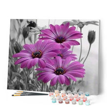 Afbeelding in Gallery-weergave laden, Schilderen op Nummer - Paarse Margrieten