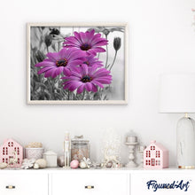 Afbeelding in Gallery-weergave laden, Schilderen op Nummer - Paarse Margrieten
