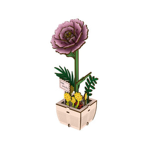 3D Puzzel - Pioenroos