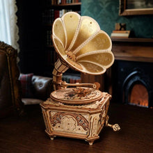 Afbeelding in Gallery-weergave laden, 3D Puzzel - Diva-grammofoon Figured'Art