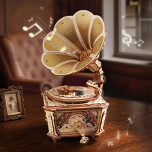 Afbeelding in Gallery-weergave laden, 3D Puzzel - Diva-grammofoon