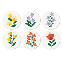 Afbeelding in Gallery-weergave laden, Mini Serie Schilderen op Nummer - Schijven Ø20cm (6 stuks) - Botanische portretten