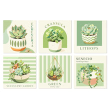 Afbeelding in Gallery-weergave laden, Mini Serie Schilderen op Nummer 20x20cm (6 stuks) - Vetplanten tuin