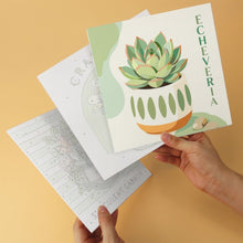 Afbeelding in Gallery-weergave laden, Mini Serie Schilderen op Nummer 20x20cm (6 stuks) - Vetplanten tuin